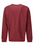 Carhartt WIP American Script sweatshirt